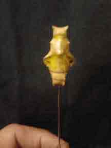 Preserved Butterfly Cacoon Poker, CustomPokersAndMore