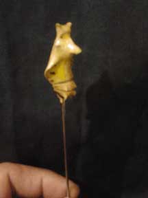 Preserved Butterfly Cacoon Poker, CustomPokersAndMore