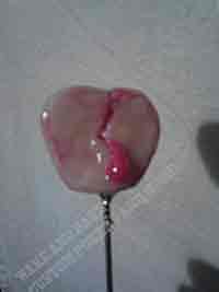 Valentines-Day-Bleeding-Heart-cake-testers-appetizer-supplies-VALH-SS-004497
