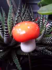 Orange Mushroom Plant Pot Poker, CustomPokersAndMore