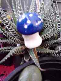 Blue Mushroom Plant Pot Poker, CustomPokersAndMore
