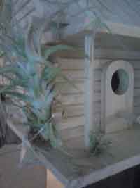 Living Birdhouse BH1Fin1