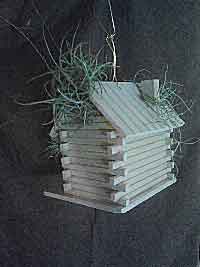 Living Birdhouse BH1Fin1