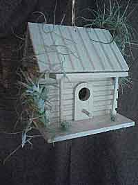 Living Birdhouse BH1Fin1