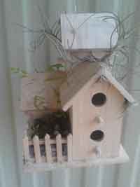 Living Wooden Triple BirdHouse