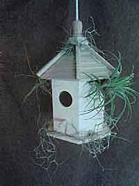 Living Birdhouse BH2Fin1