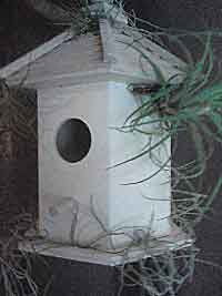 Living Birdhouse BH2Fin1