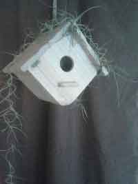 Living Birdhouse BH3Fin1