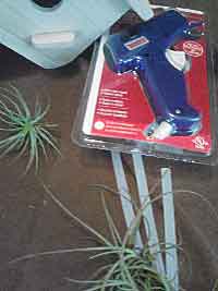 Living Birdhouse (DIY), 