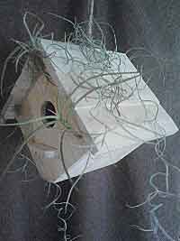 Living Birdhouse BH3Fin1