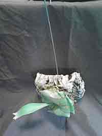 Small Staghorn Fern Mounted on Cork Bark with Stainless hardware