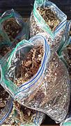 Organic Moss and Perlite Mix for carnivorous plants